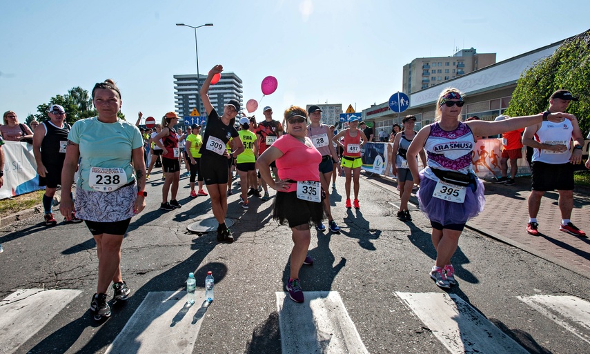 Elbląg Przybyłem, zobaczyłem, zwyciężyłem