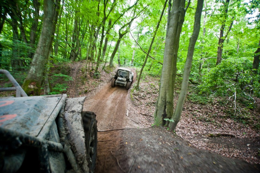 Piknik Rainforest Challenge Poland na Modrzewinie zdjęcie nr 243295