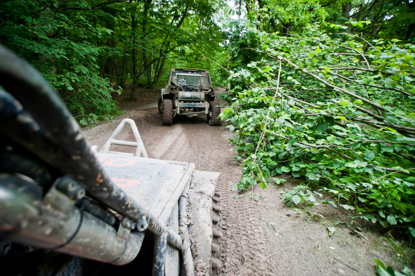 Piknik Rainforest Challenge Poland na Modrzewinie zdjęcie nr 243294