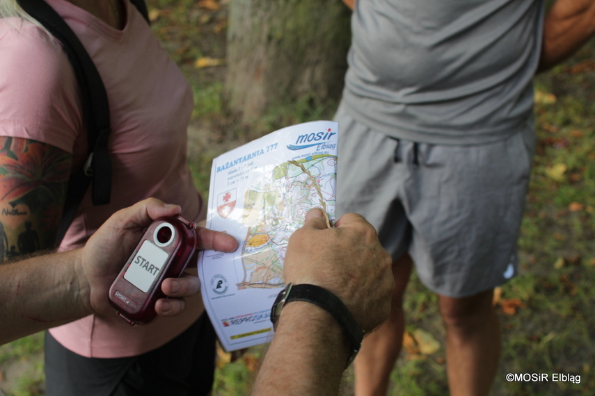 Elbląg Pobiegli na orientację w Bażantarni