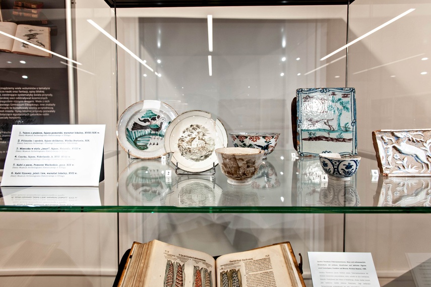 Jak postrzegali i poznawali przyrodę dawni elblążanie? zdjęcie nr 248225