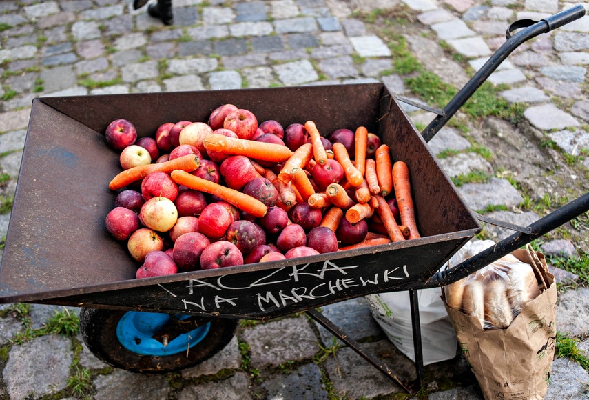 Konie, tradycja i pościg za lisem zdjęcie nr 250314