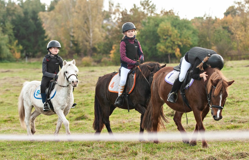 Konie, tradycja i pościg za lisem zdjęcie nr 250323