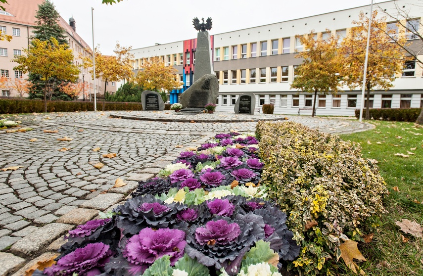 Kapusty, które zdobią. Hit czy kit? zdjęcie nr 251111