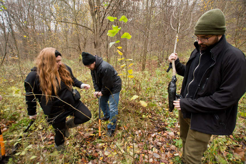 Dla leśnych roślin i zwierząt zdjęcie nr 252113