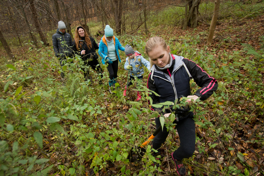 Dla leśnych roślin i zwierząt zdjęcie nr 252123