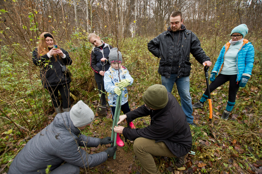 Dla leśnych roślin i zwierząt zdjęcie nr 252131