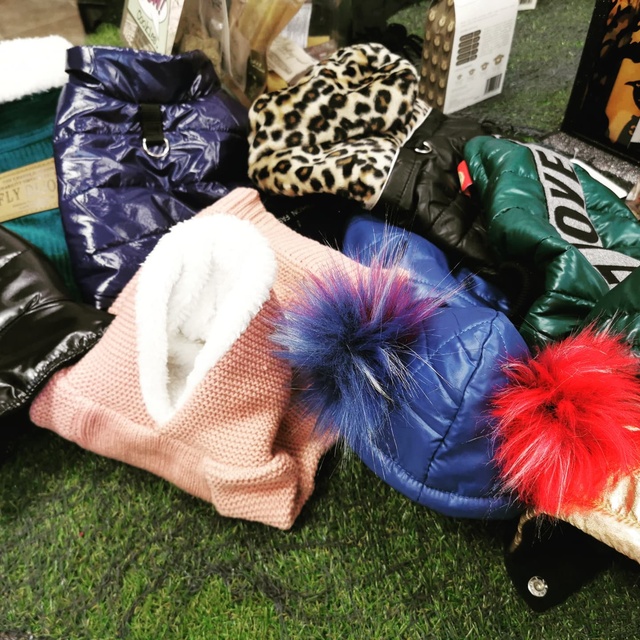 Zadbaj o zdrową dietę swojego psa zdjęcie nr 252953