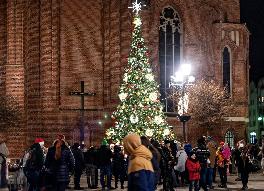 Elbląg w świątecznym wydaniu zdjęcie nr 252984