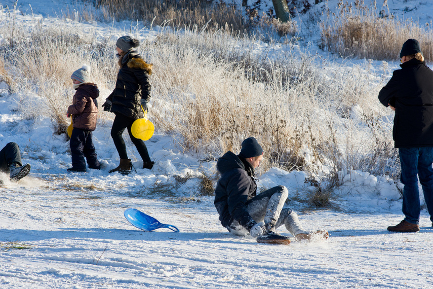 Zima, zima, zima... zdjęcie nr 253756