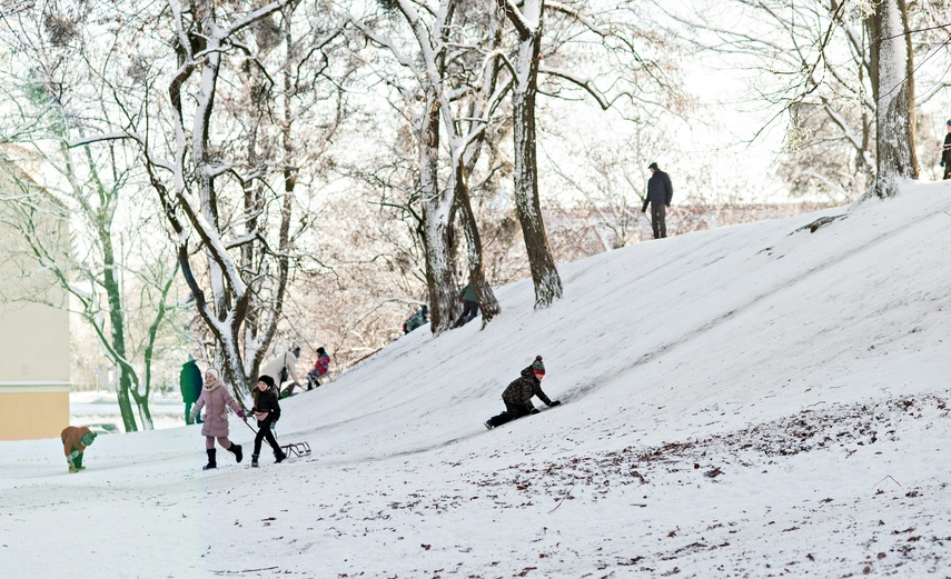 Zima, zima, zima... zdjęcie nr 253743