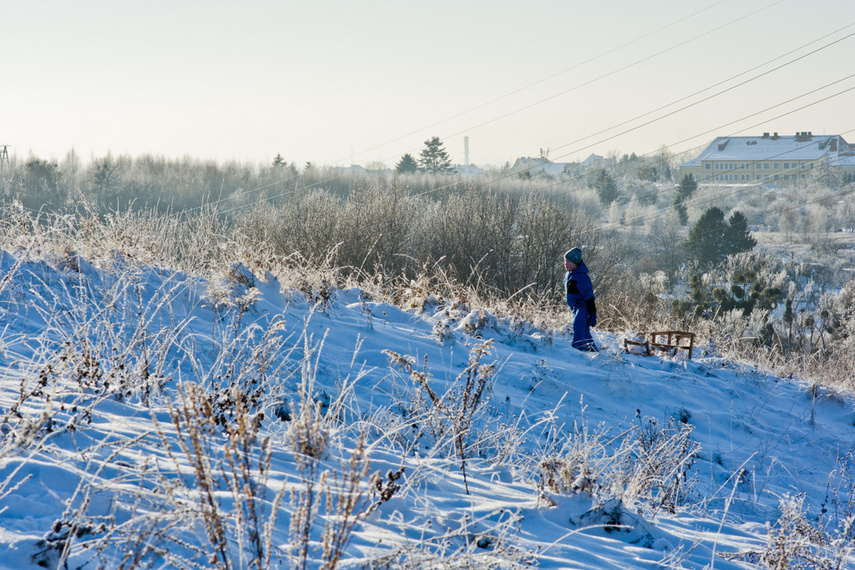 Zima, zima, zima... zdjęcie nr 253766