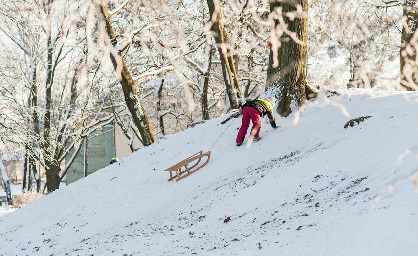 Zima, zima, zima... zdjęcie nr 253741