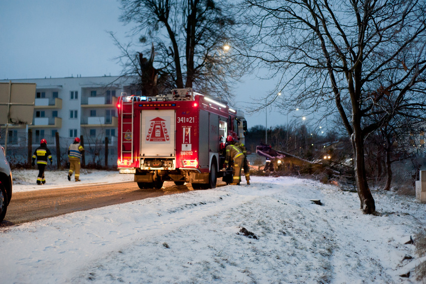 Drzewo spadło na dwie osoby zdjęcie nr 254307