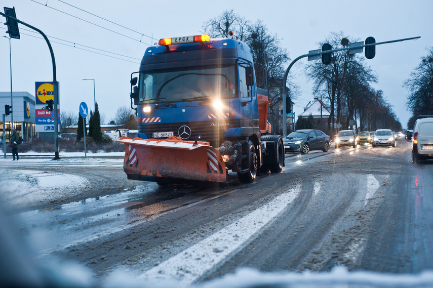 Drzewo spadło na dwie osoby zdjęcie nr 254323