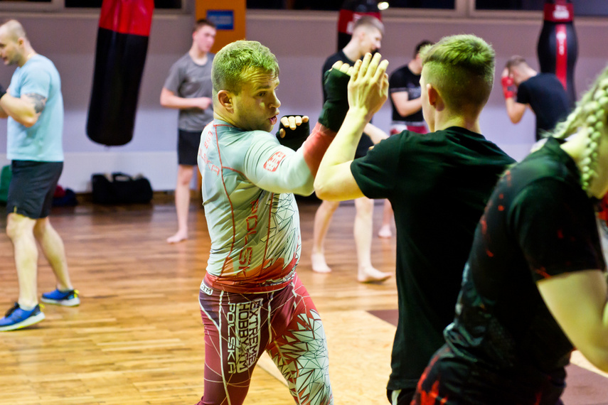 Elbląskie sambo zdjęcie nr 255881