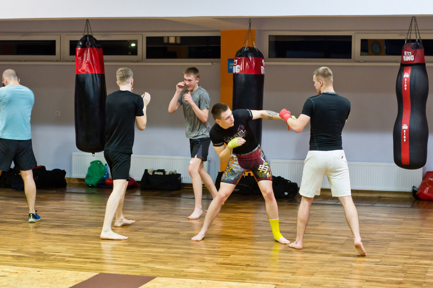 Elbląskie sambo zdjęcie nr 255867