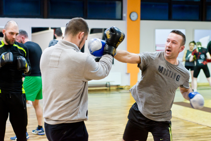 Elbląskie sambo zdjęcie nr 255888