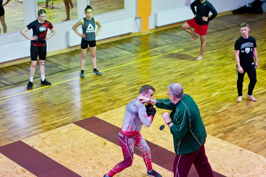 Elbląskie sambo zdjęcie nr 255876