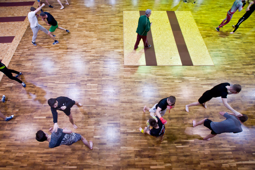 Elbląskie sambo zdjęcie nr 255877