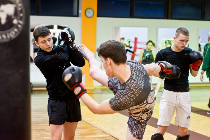 Elbląskie sambo zdjęcie nr 255891