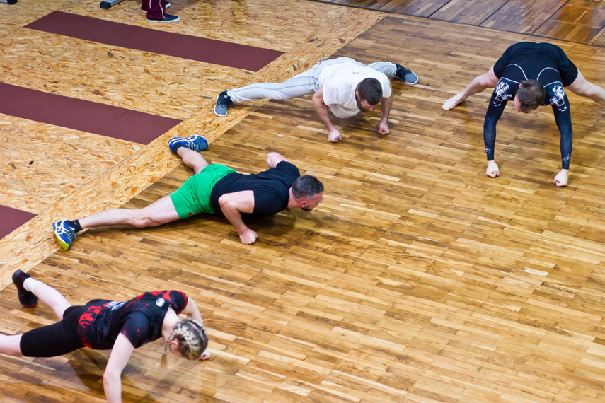 Elbląskie sambo zdjęcie nr 255856