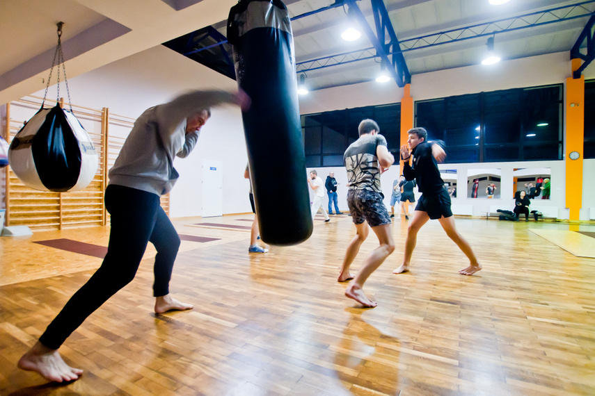 Elbląskie sambo zdjęcie nr 255875