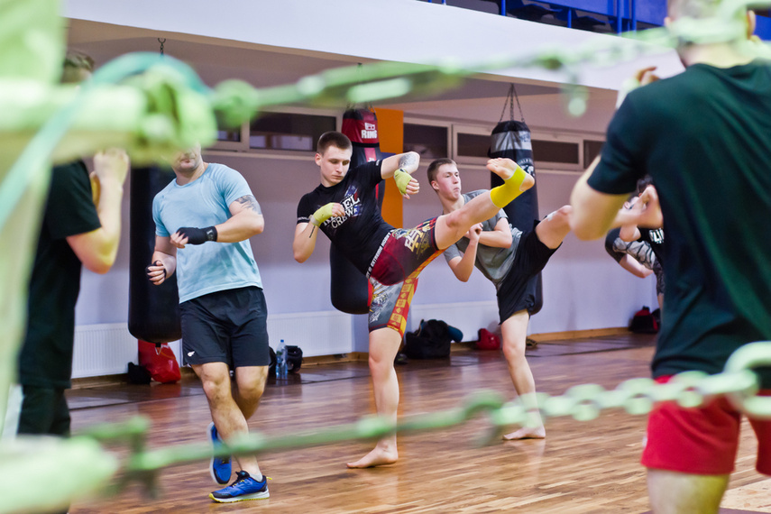 Elbląskie sambo zdjęcie nr 255862