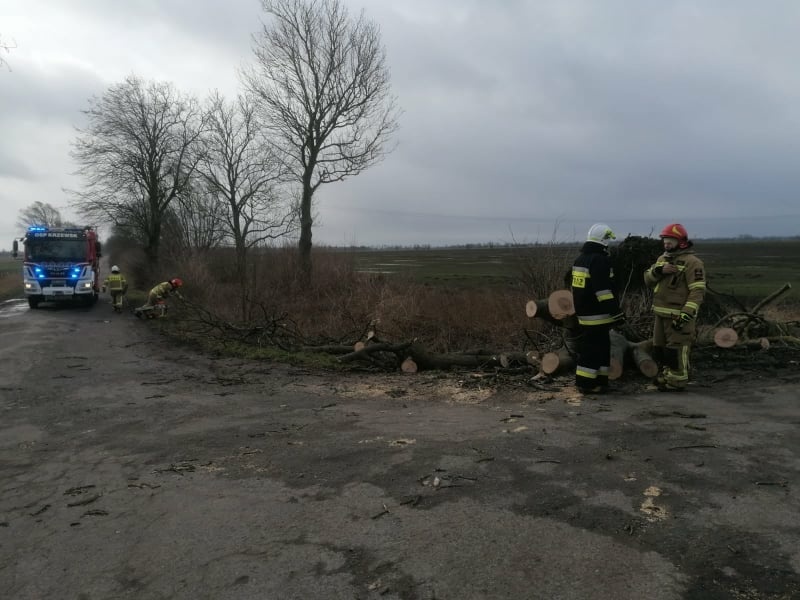 Silnie wieje w Elblągu i powiecie. Strażacy interweniowali kilkadziesiąt razy zdjęcie nr 256286