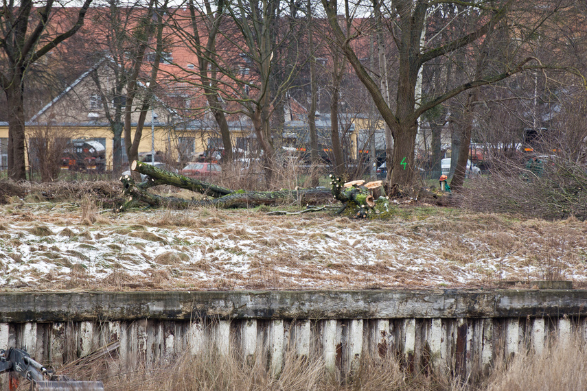 Porządkują nieckę byłego basenu zdjęcie nr 256370