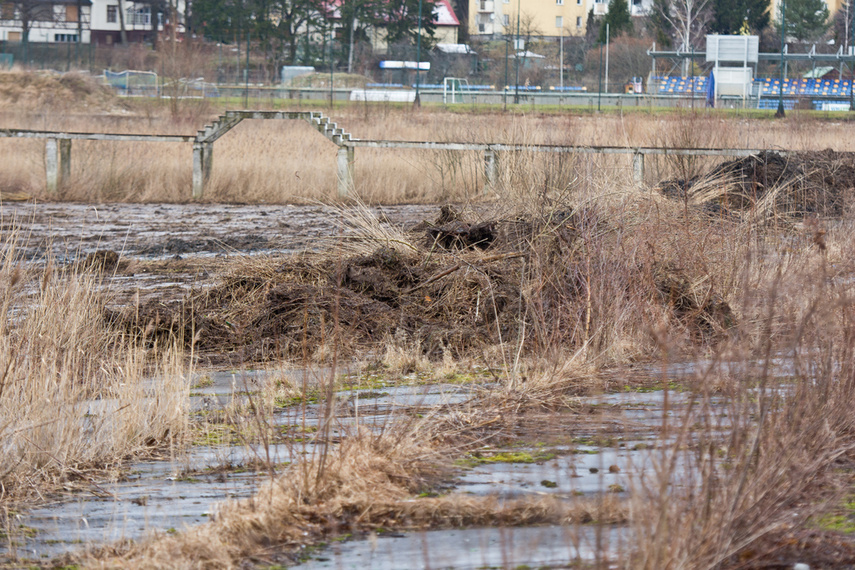 Porządkują nieckę byłego basenu zdjęcie nr 256376