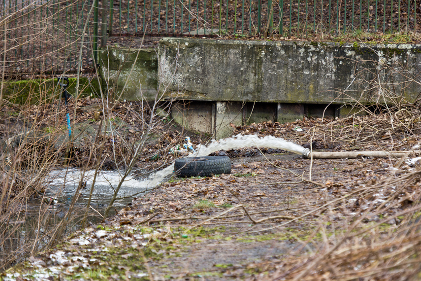 Porządkują nieckę byłego basenu zdjęcie nr 256382