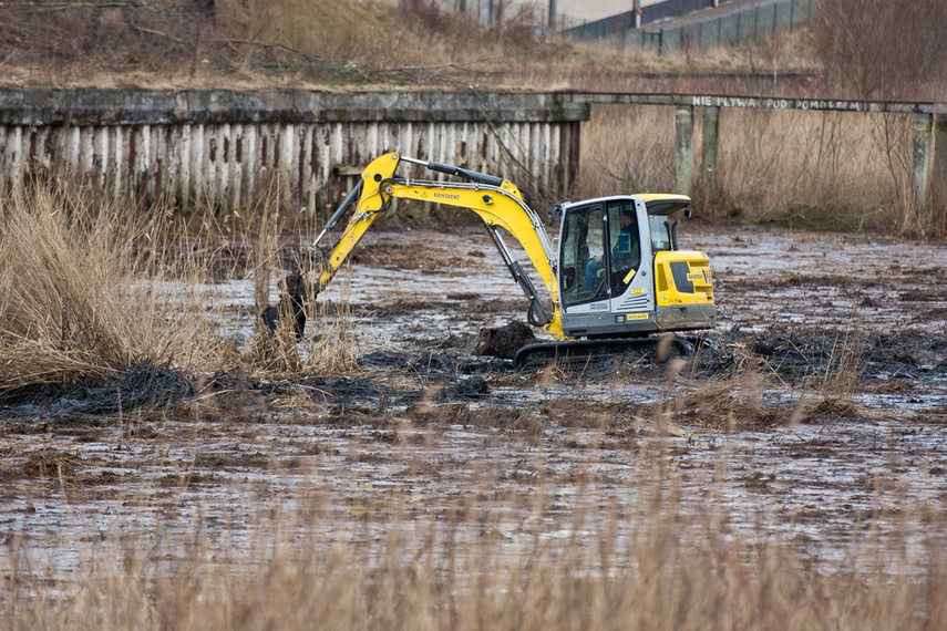 Porządkują nieckę byłego basenu zdjęcie nr 256379