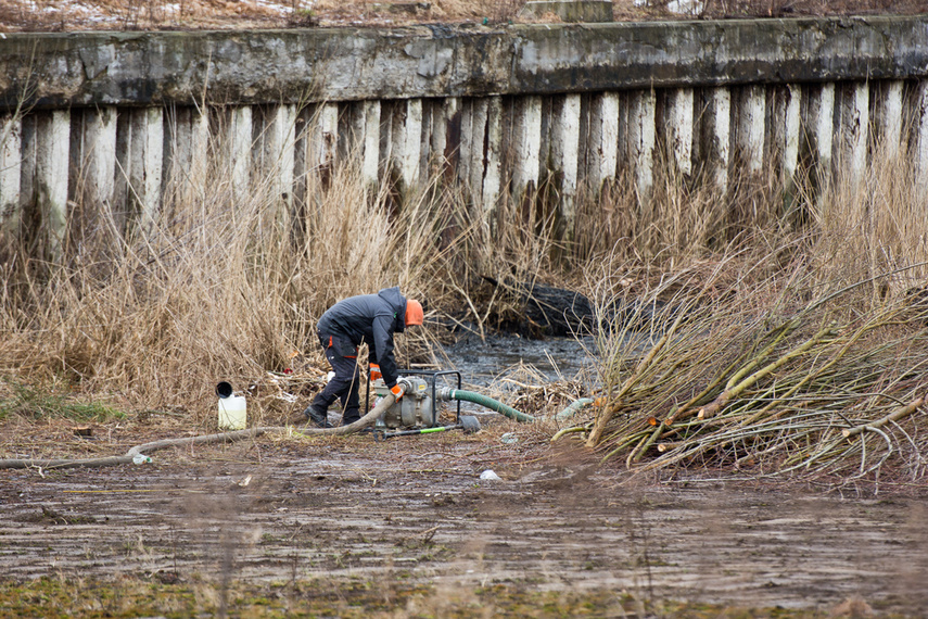 Porządkują nieckę byłego basenu zdjęcie nr 256380