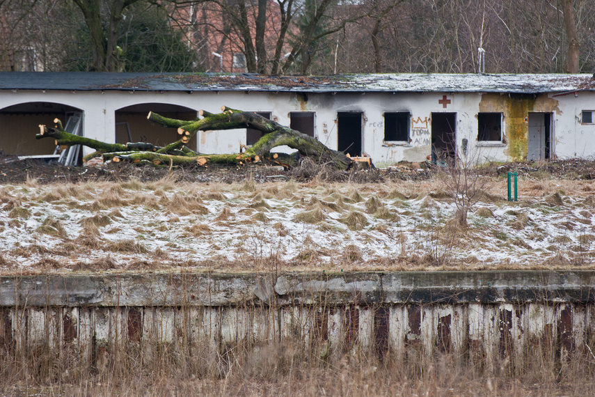 Porządkują nieckę byłego basenu zdjęcie nr 256369