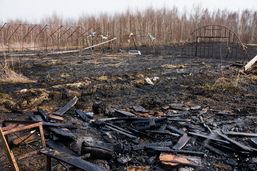 Pożar traw w Gronowie Górnym zdjęcie nr 258061