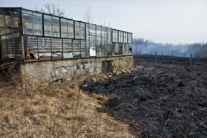 Pożar traw w Gronowie Górnym zdjęcie nr 258054