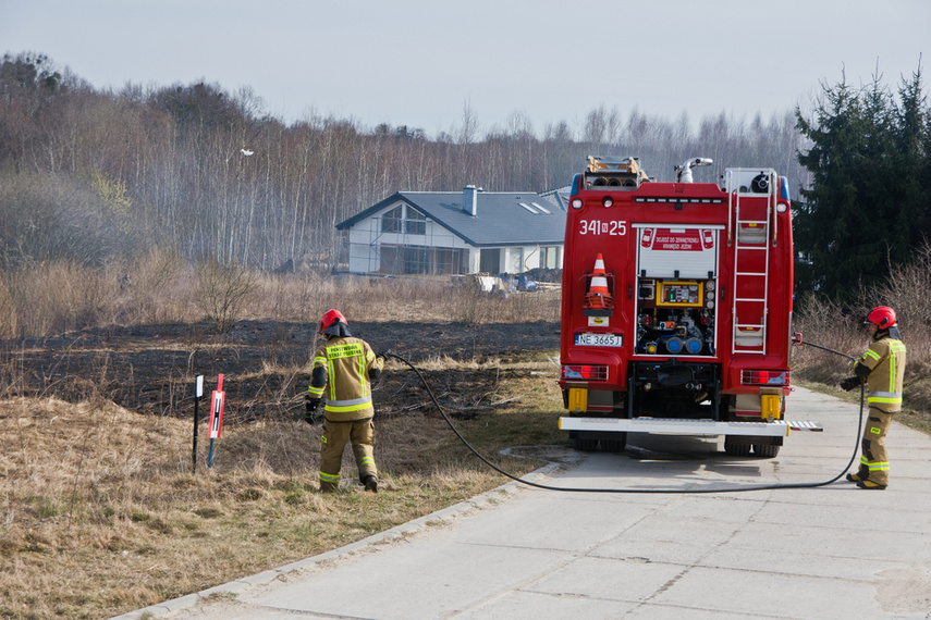 Pożar traw w Gronowie Górnym zdjęcie nr 258071