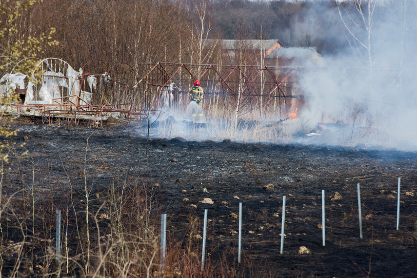 Pożar traw w Gronowie Górnym zdjęcie nr 258051