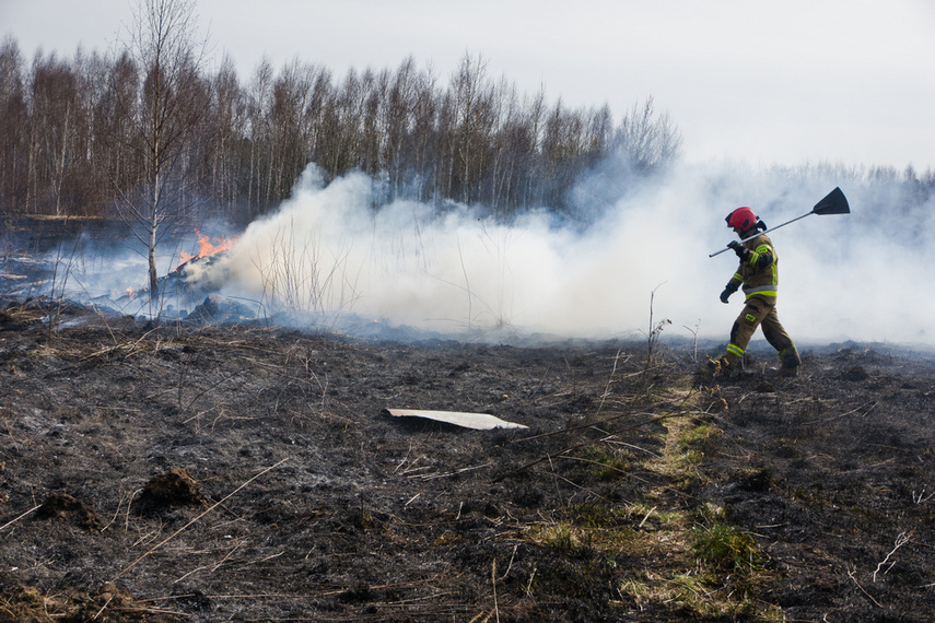 Pożar traw w Gronowie Górnym zdjęcie nr 258055