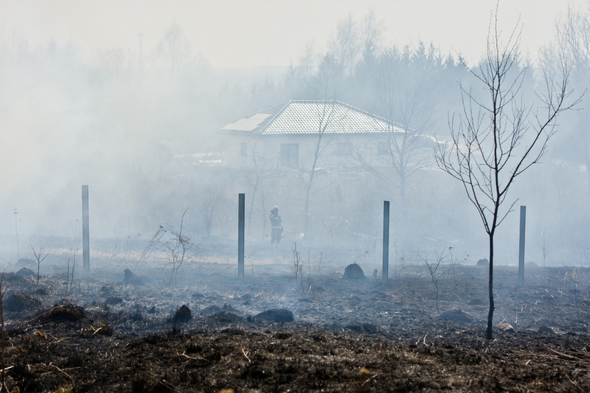 Pożar traw w Gronowie Górnym zdjęcie nr 258065