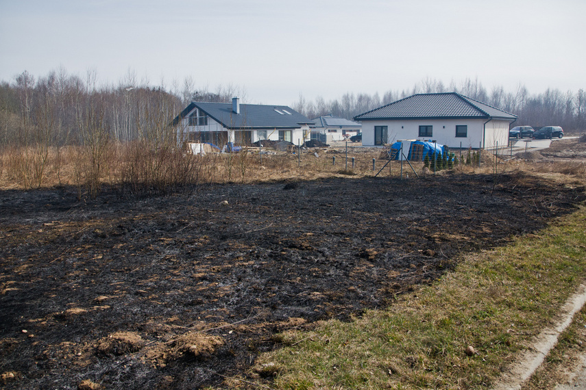 Elbląg Pożar traw w Gronowie Górnym