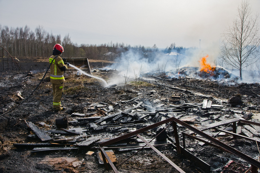 Pożar traw w Gronowie Górnym zdjęcie nr 258058