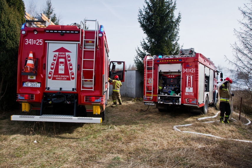 Pożar traw w Gronowie Górnym zdjęcie nr 258070