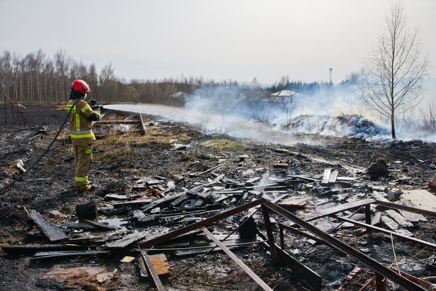 Pożar traw w Gronowie Górnym zdjęcie nr 258057