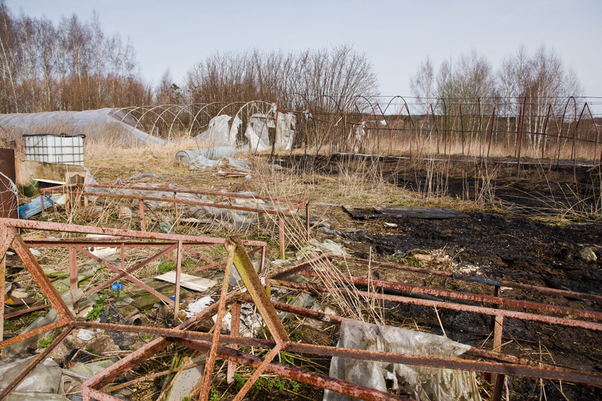 Pożar traw w Gronowie Górnym zdjęcie nr 258060
