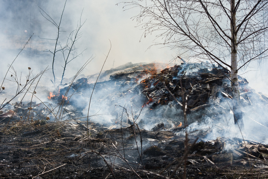 Pożar traw w Gronowie Górnym zdjęcie nr 258062
