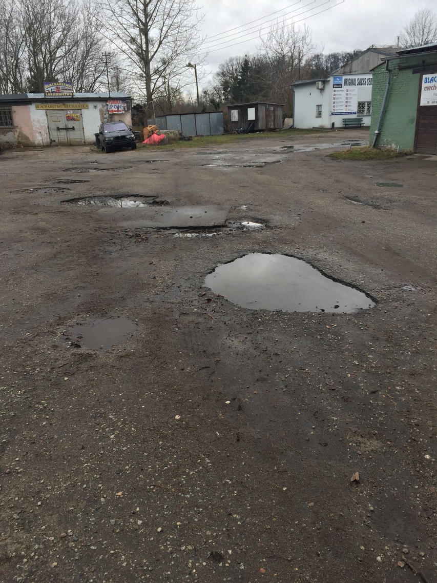 Elbląg Czytelniczka: Ten teren źle wygląda