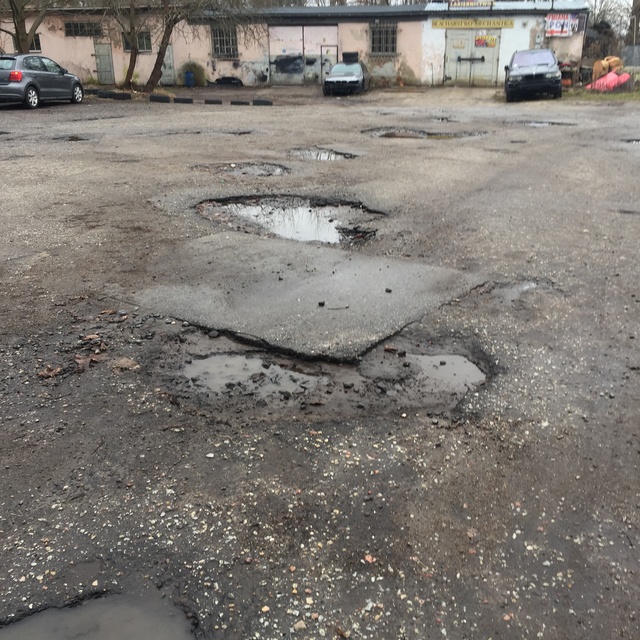 Czytelniczka: Ten teren źle wygląda zdjęcie nr 258394