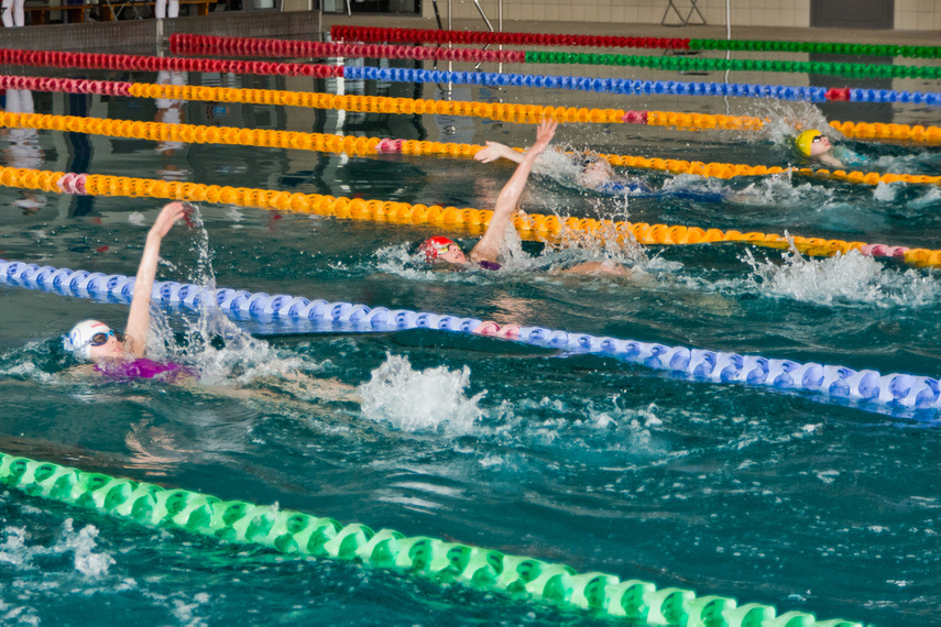 Elbląg Wiosenny kraul i motylek 